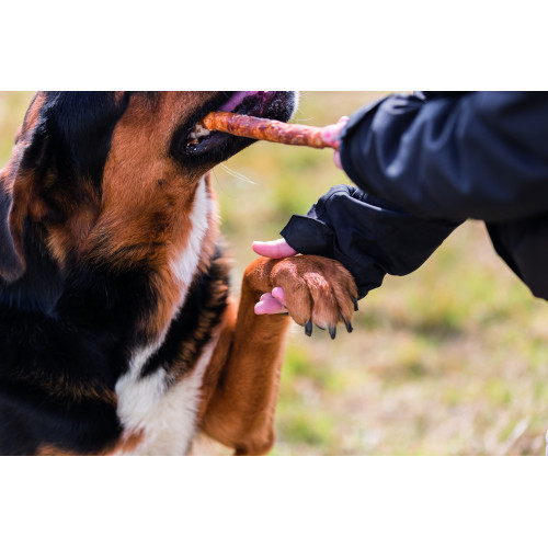 Лакомство Trixie Denta Fun Rolls with Duck для собак Палочка для чистки зубов с уткой 28 см 250 г 3 шт Киев - изображение 3