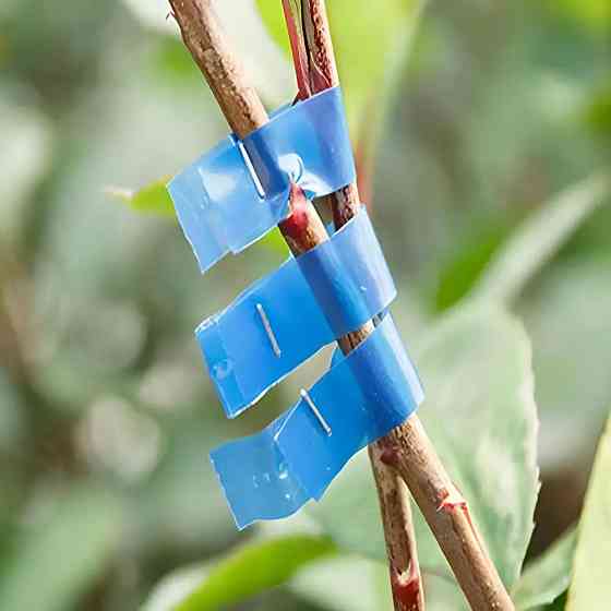 Стрічка для садового степлера 11мм 26м для підв'язки рослин,1шт SBR Київ