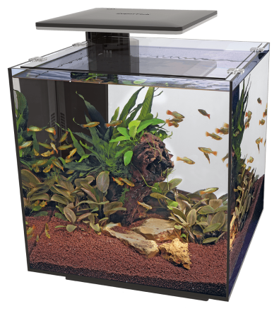 Аквариумный набор SuperFish QubiQ 60 LED Black (A4050905) Киев