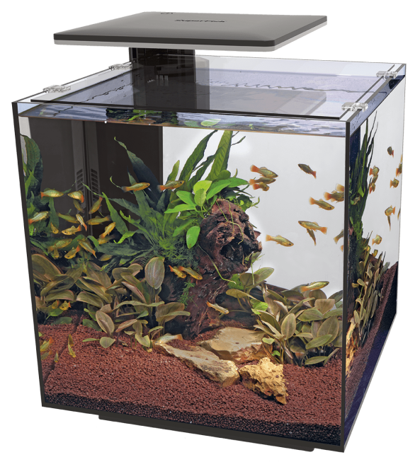 Аквариумный набор SuperFish QubiQ 60 LED Black (A4050905) Киев - изображение 2