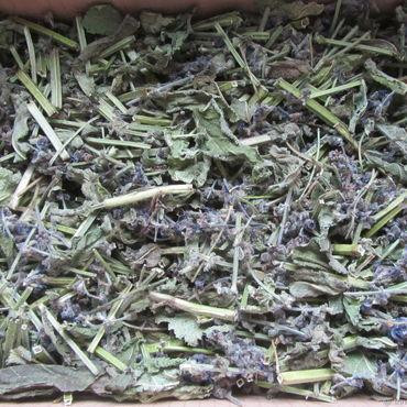 Шалфей луговой (Шавлія лугова) 100г master sem Киев - изображение 3