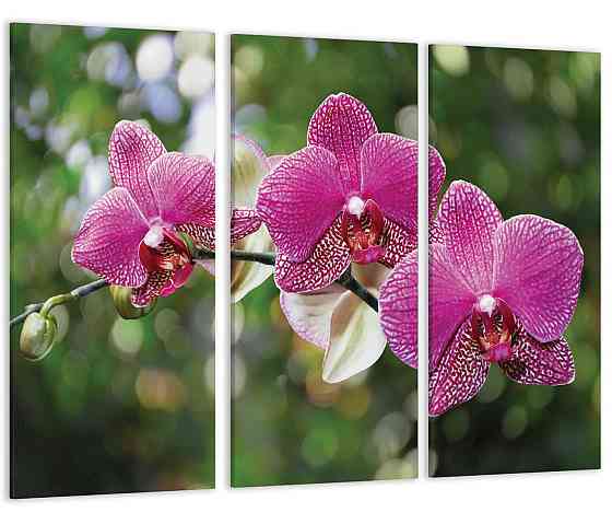 Модульна картина Квіти Весна Art-117_XXL Київ