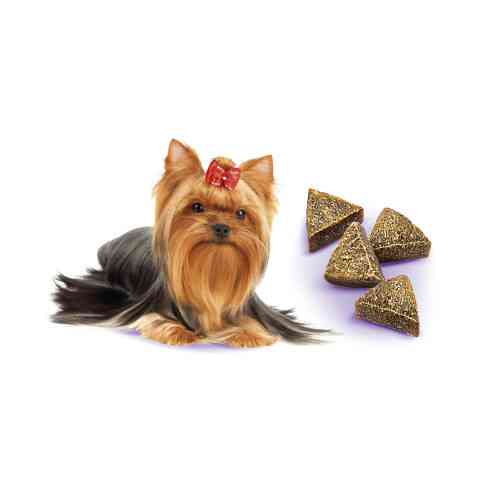 Лакомство Brit Care Mini Treats Liver Detox для собак малых пород детокс печени индейка вкус черника 50 г Киев