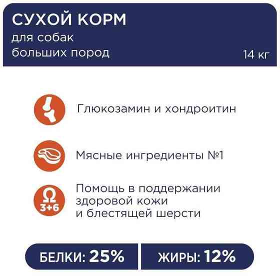 Club 4 Paws (Полуб 4 Лапи) Premium Adult Large Breed Chicken сухий корм із куркою для собак великих порід 14 кг Запоріжжя