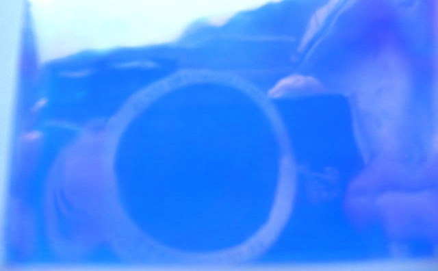 Плівка для створення ефекту "Бите скло" Діамантово-фіолетова Київ - фото 1