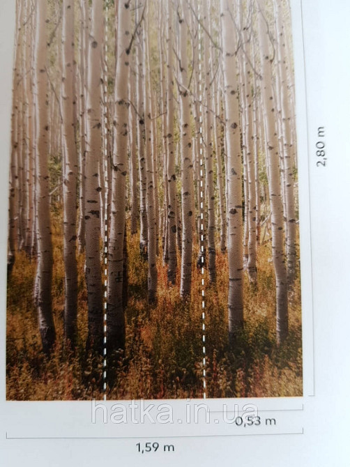 Обои виниловые Grandeco One roll one motif 2 A42601 панно мурал 3д деревья лес березовая роща Киев - изображение 2