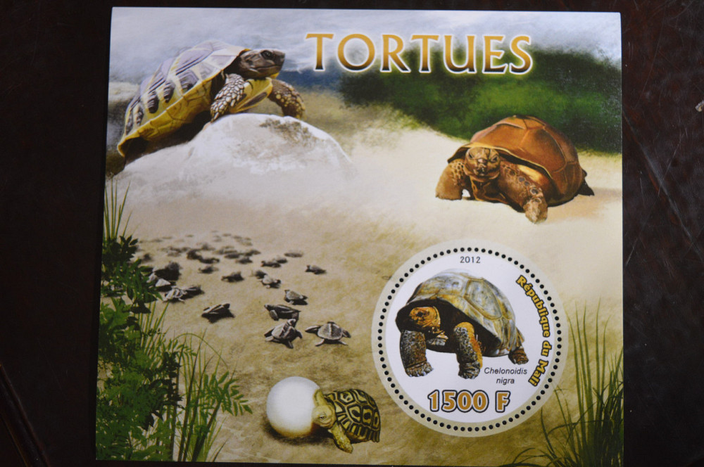 Мали. Марки. Фауна. Блок. 2015 год (В-3) Полтава - изображение 1