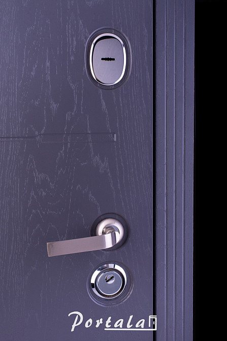 Двери квартирные, серия Премиум, модельТокио 2, гнутый профиль, коробка 150 мм, полотно 105мм,  KALE257 Киев - изображение 2