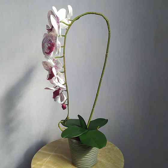 Штучна латексна орхідея VIP у пластиковому кашпо на одну гілку біло-бузкова Дніпро