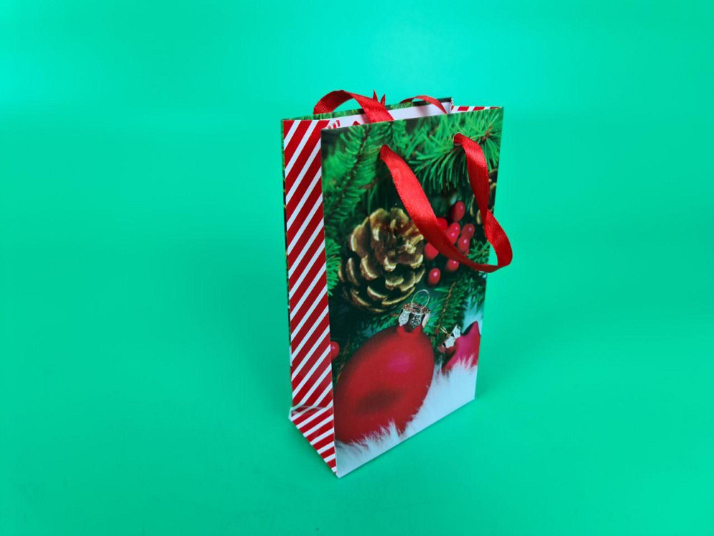 Пакеты новогодние ,бумажные ,подарочные , Малый 11/18/5  - -025 (12 шт) Харьков - изображение 1