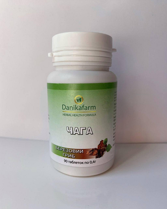 Натуральна домішка Чага — березовий гриб (Fungus betulinus) Данікафарм Київ - фото 1