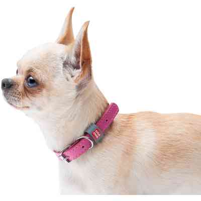 Нашийник для тварин WAUDOG Classic шкіряний 12 мм х 19-25 см рожевий (02017) Вінниця