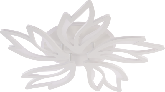 LI9862/5 WH (RGB) Коломия