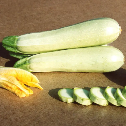 Кабачок Кавілі F1 салатовий 5шт Професійне насіння Житомир - фото 2