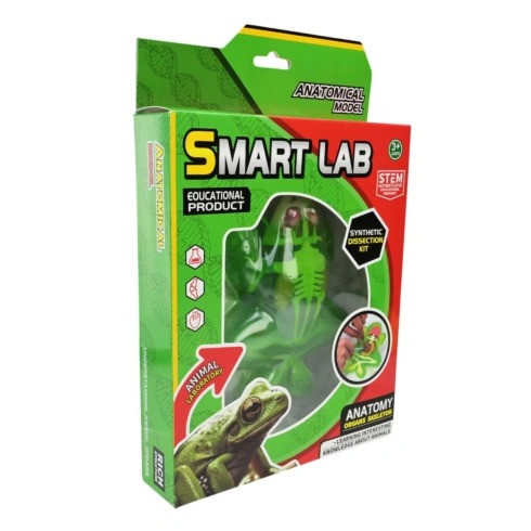 Детский лабораторный набор Лягушка 801B, скелет, внутренние органы Винница - изображение 3