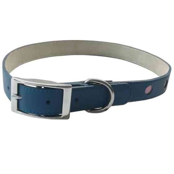 Coastal TOO! Cut Out Dots КОСТАЛ кожаный ошейник для собак Киев