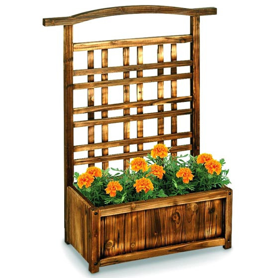 Кашпо зі шпалерою "Драпонг" мускат Миколаїв - фото 1