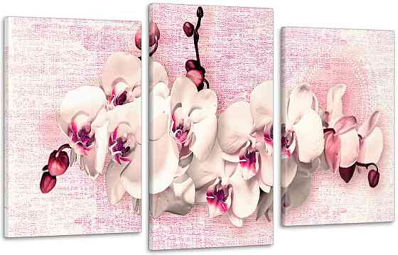 Модульна картина Орхідея Абстракція (53х100см) Art-222_3 Київ