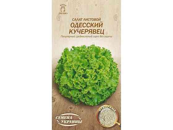 Салат листовий ОДЕССКИЙ КУЧЕРЯВЕЦ ОВ 1г (20 пачок) (пс) ТМ НАСІННЯ УКРАЇНИ Київ