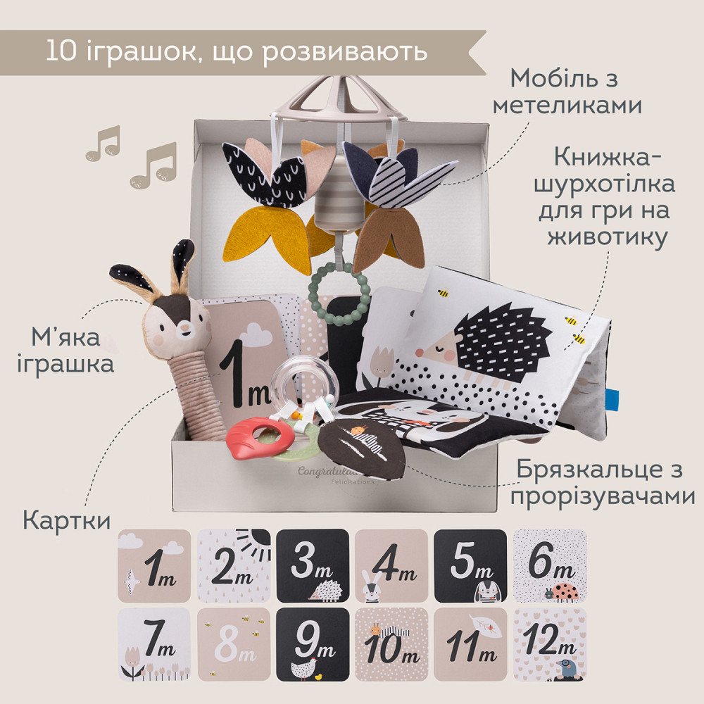Подарунковий набір іграшок для новонародженого – Чорно-біла гармонія Днепр - изображение 13