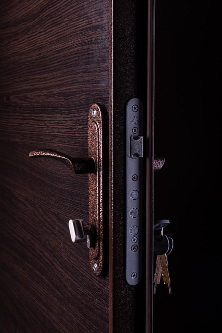 Двері Метал/ДСП+притвор, Шагрень 8017 зовні, всередині ДСП 16 мм, товщина короба 80 мм, полотно 50 950 Київ - фото 4