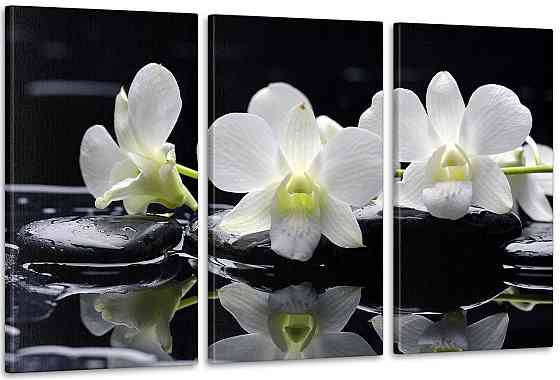 Модульна картина Квіти Орхідея Art-35_3А Київ