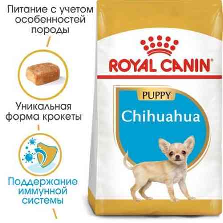 Royal Canin Chihuahua Puppy (Роял Канін Чихуахуа Паппі) сухий корм для цуценят Запоріжжя