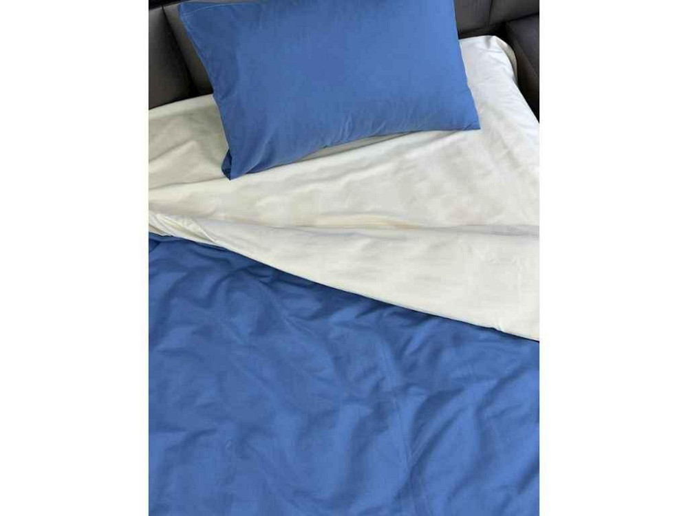 Комплект постельного белья 2-х сп 175*210 12-0812 Alabaster Gleam/15-4707 Blue Haze (нау. 2шт 50*70) микрофибра ТМ ARCLOUD Киев - изображение 1