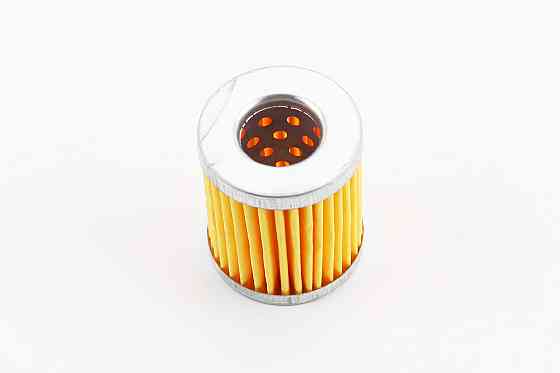 Фільтр паливний - елемент 40mm R170F/R195NM Киев