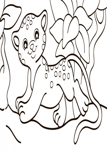 Дитяча водна розмальовка: Екзотичні тварини 734012, 8 сторінок Вінниця - фото 8