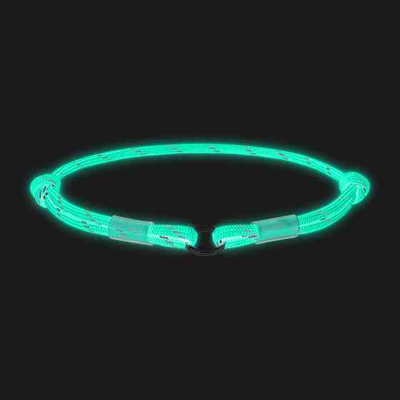 Veterinary Formula SCC Snow White Shampoo ВЕТЕРИНАРНА ФОРМУЛА БІЛОСНІЖНО БІЛИЙ шампунь для собак і котів зі світлою шерстю Київ