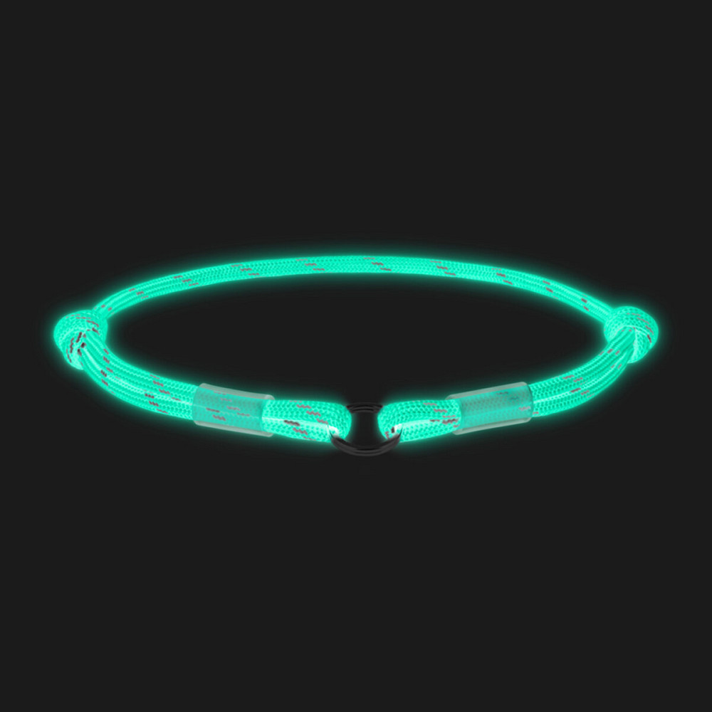 Veterinary Formula SCC Snow White Shampoo ВЕТЕРИНАРНАЯ ФОРМУЛА БЕЛОСНЕЖНО БЕЛЫЙ шампунь для собак и котов со светлой шерстью Киев - изображение 4