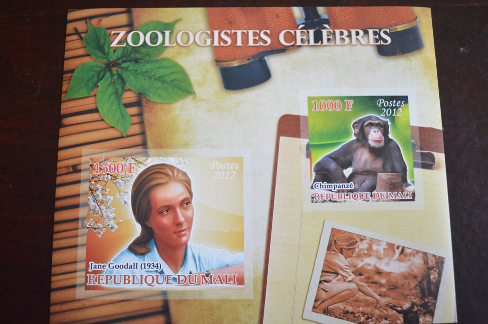 Мали. История. Личности. Блок. 2014 год (А-30) Полтава - изображение 1