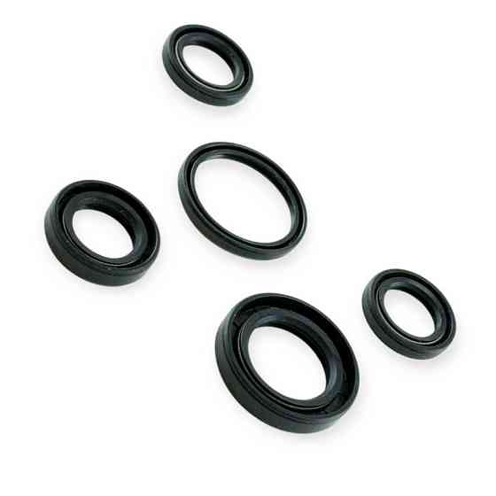 Набір Minsk-Viper CB 125, 150 сальників Мукачево