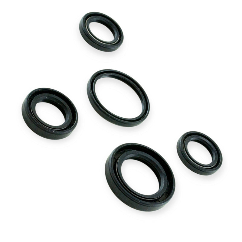 Набір Minsk-Viper CB 125, 150 сальників Мукачево - фото 1