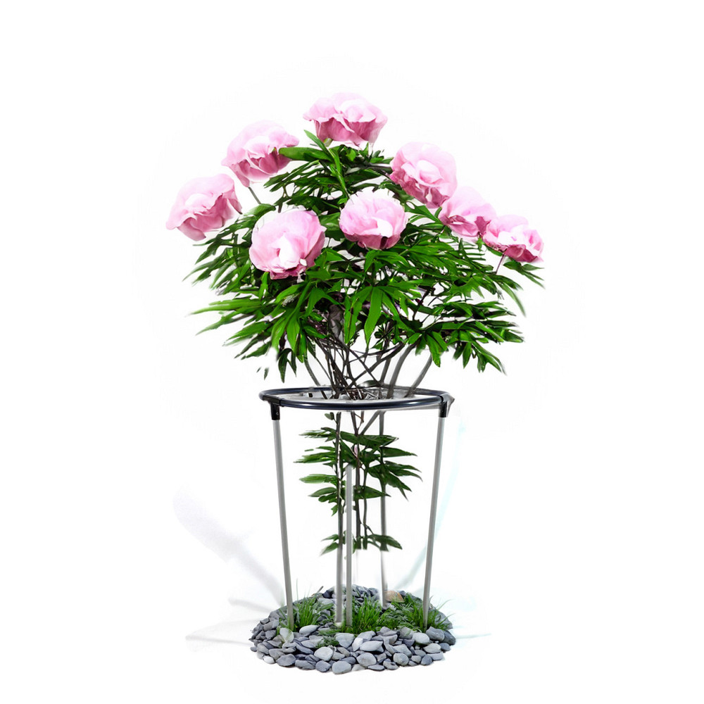 Кільцева опора Pivonia D50*80 см для півонії, троянд та інших рослин. Підтримка для рослин Борисполь - изображение 4