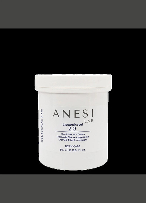 Живильний крем Lab з термоактивною дією Silhouette Lipoaminocel 2.0 Anesi Lab 500 мл Дніпро - фото 1