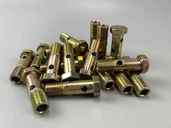 Болт-штуцер M 14 × 1.5 × 50 2 отвори  універсальний Мукачево