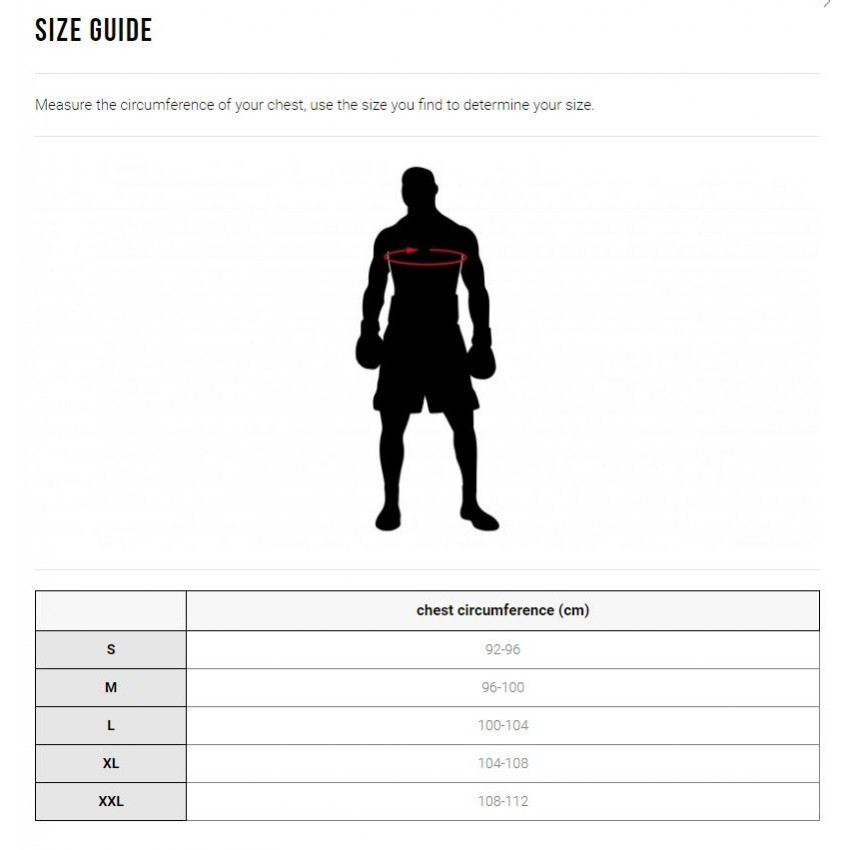 Футболка Leone Legionarivs мужская размер XL стильная спортивная футболка Leone серого цвета Киев - изображение 6