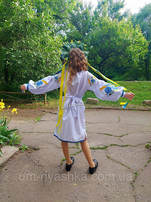 Детское вышитое платье с васильками и колосками Кривой Рог - изображение 7