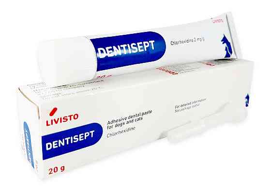 Dentisept (Дентісепт) 20 г зубна паста для собак і кішок Livisto (термін до 01.2027 р) Вінниця