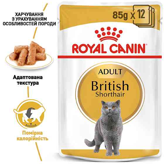 Вологий корм для дорослих котів ROYAL CANIN BRITISH SHORTHAIR ADULT 0.085 кг Київ