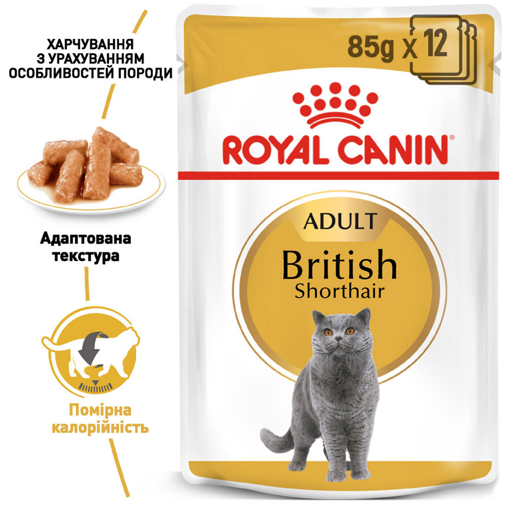 Вологий корм для дорослих котів ROYAL CANIN BRITISH SHORTHAIR ADULT 0.085 кг Київ - фото 2