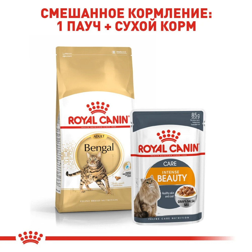 Роуал Canin Bengal Adult (Рояв Канін Бенгал) сухий корм для котів бенгальська від 12 місяців 2 кг. Запоріжжя - фото 7