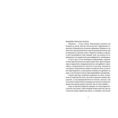 Книга Боженята - Террі Пратчетт Видавництво Старого Лева (9789664482599) Вінниця