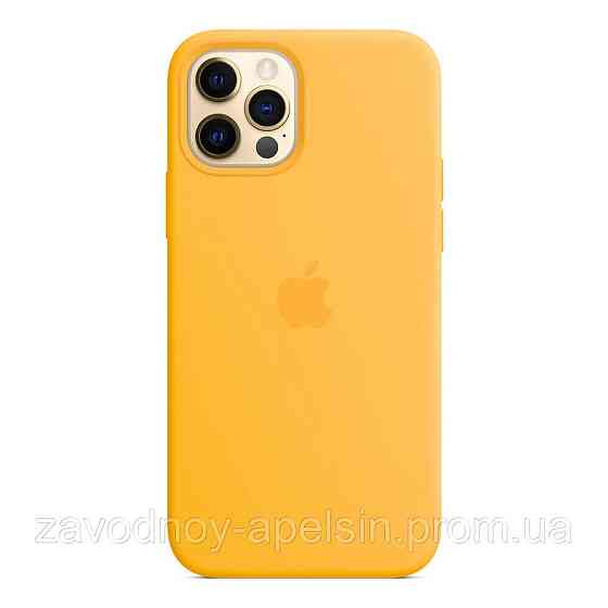 IPhone 12 12pro Чехол Silicone Case + MagSafe (sun flower) Одеса
