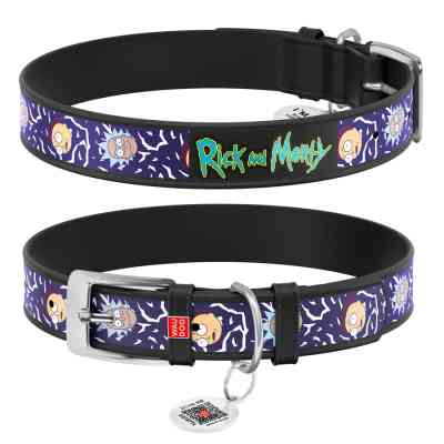 Нашийник для тварин WAUDOG Design з QR паспортом "Рік та Морті 2" Ш 25 мм Д 38-49 см чорний (3605-0281-01) Вінниця