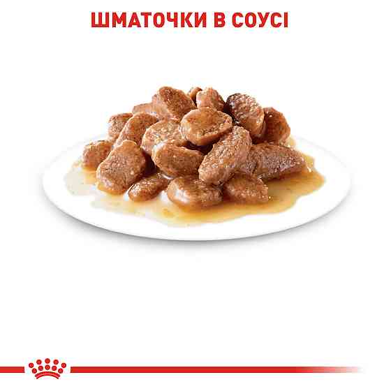 Вологий корм для дорослих котів ROYAL CANIN INSTINCTIVE IN GRAVY 0.085 кг Київ