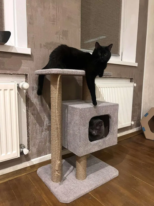 Когтеточка дряпка с домиком и лежанкой 85х50х50 см для кота возвышенная джутовая Киев - изображение 4