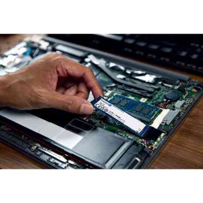 Накопичувач SSD M.2 2280 4TB Kingston (SNV3S/4000G) Вінниця